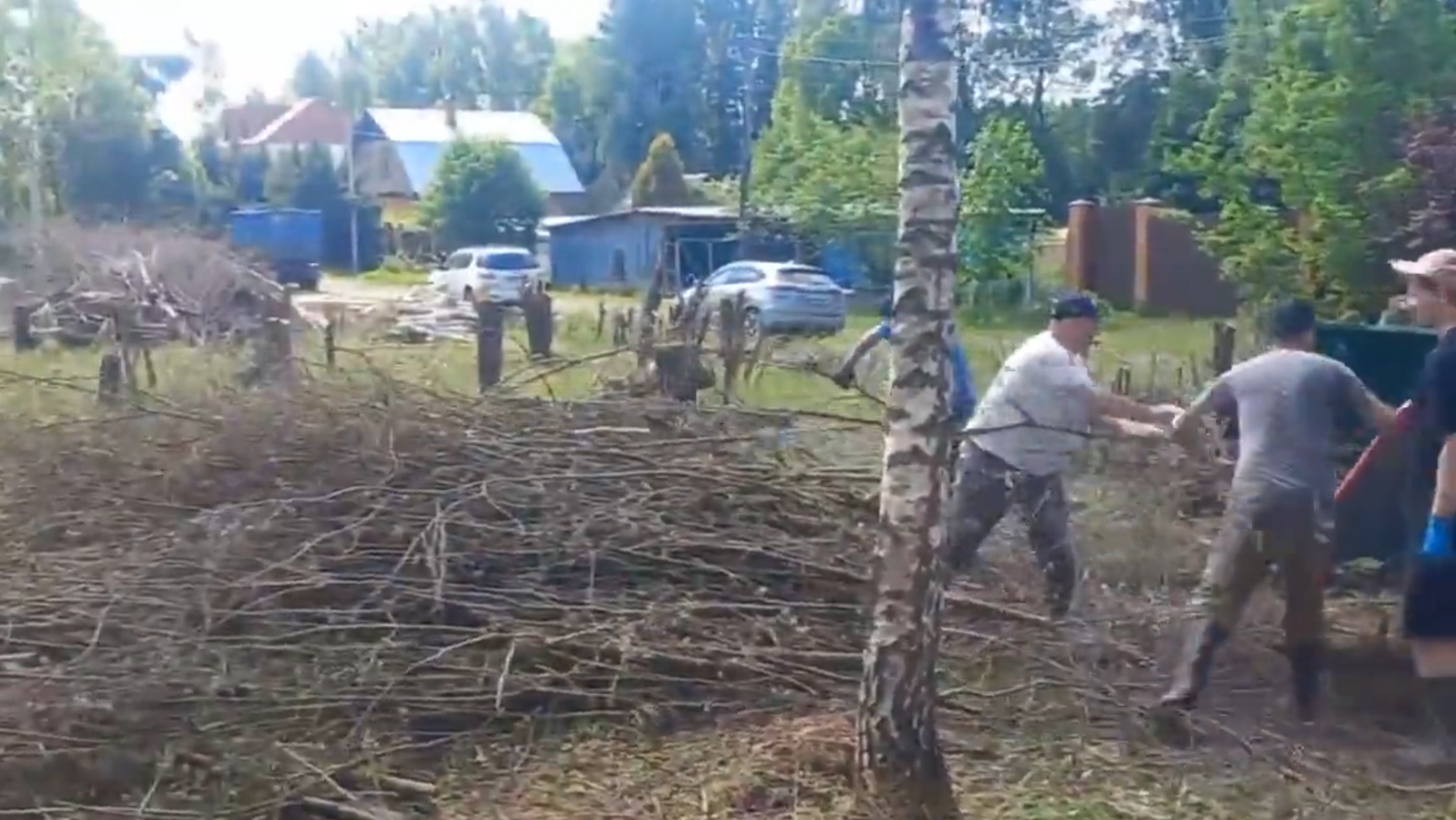 видео