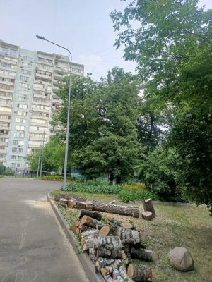 15-06-26-2
