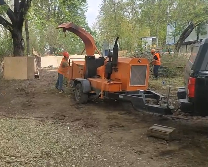 видео