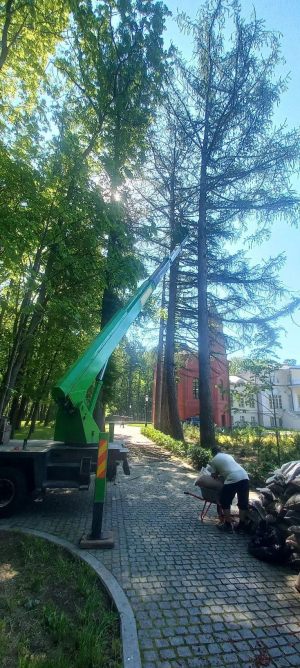 gall-19-05-25-16