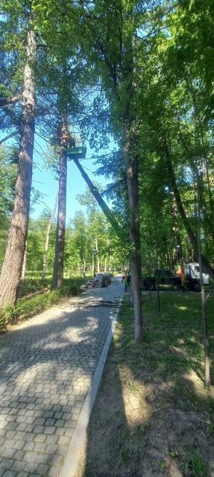 gall-19-05-25-18