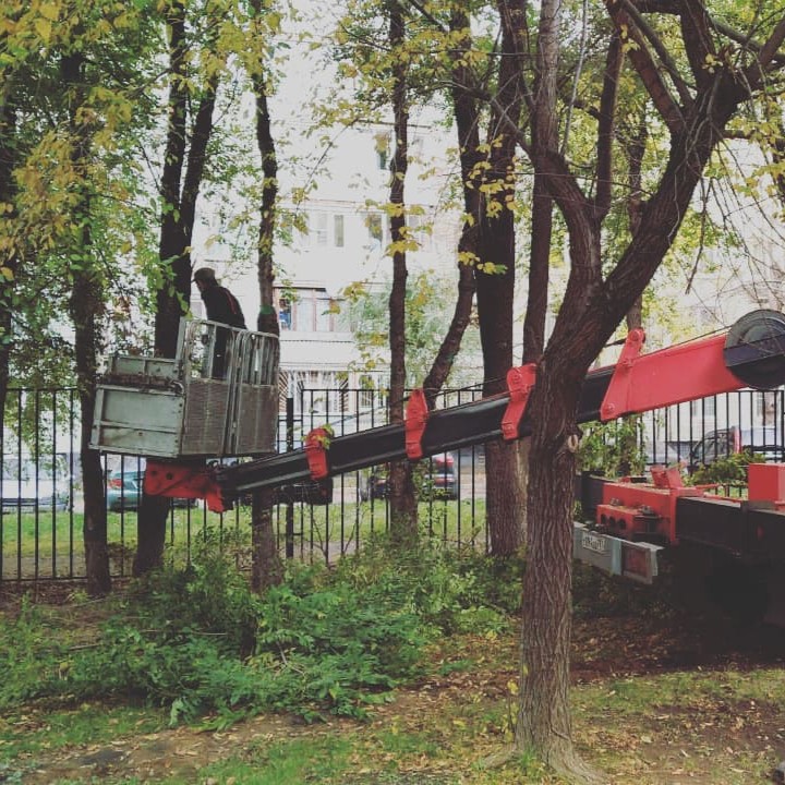 Наши работы